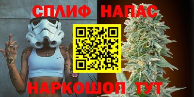 прущие грибы Канаш