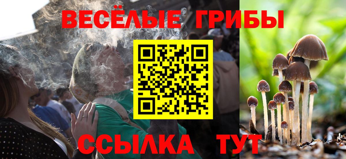 Коряжма  Псилоцибиновые грибы ЛСД  Вход с VPN 