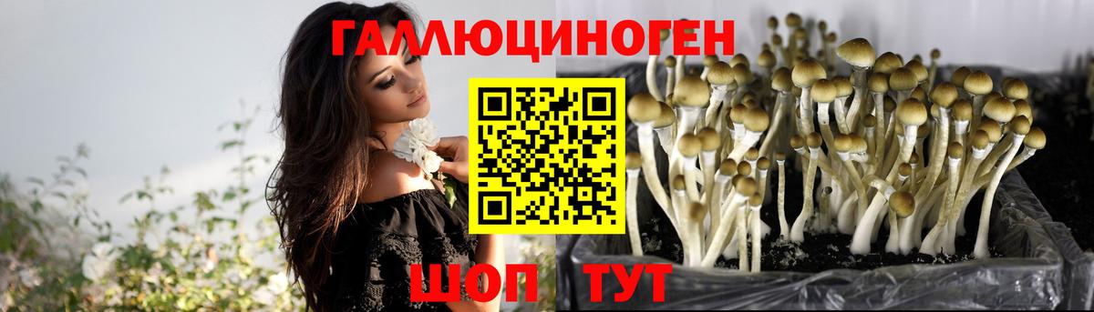 Галлюциногенные грибы GOLDEN TEACHER Коряжма
